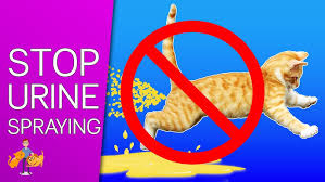 Cat Spray Stop
